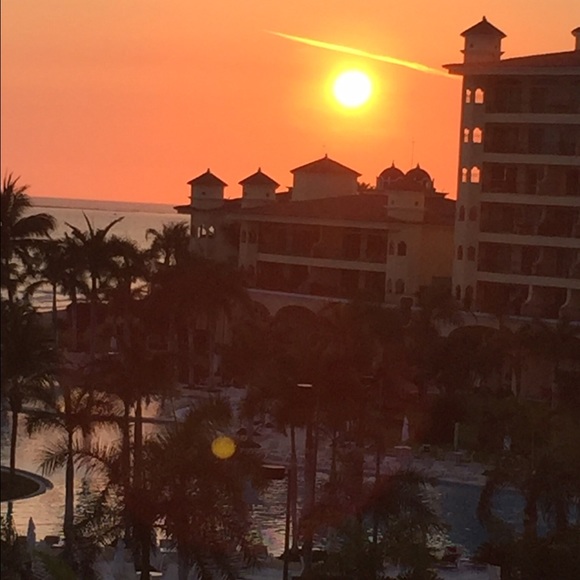 Meet your Posher, Amy - Picture 1 of 1