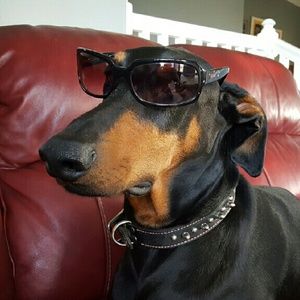 Meet your Posher, Aleta