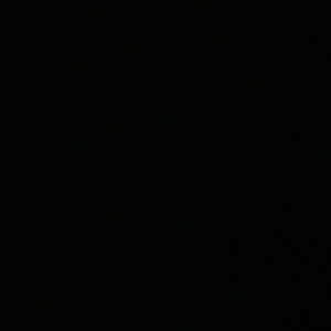 Meet your Posher, Arlene