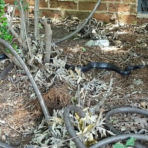 Meet your Posher, Bradley