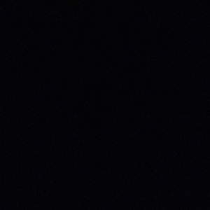 Meet your Posher, Martha