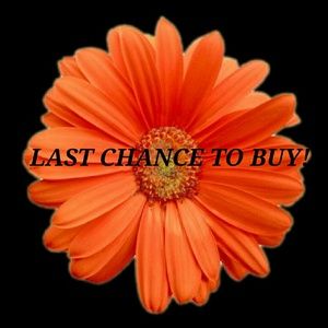 LAST CHANCE TO SAVE & BUY!