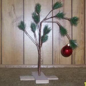 Meet your Posher, Darci