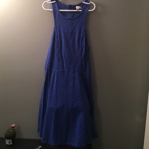 blue and black pot a dotted dress