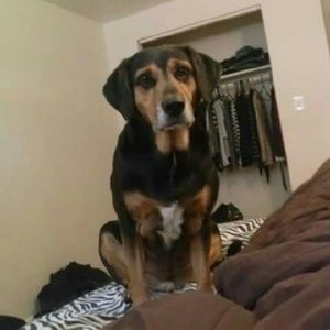 Meet your Posher, Kali