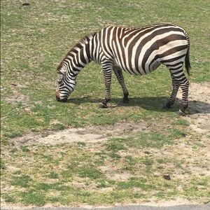 Meet your Posher, Katia