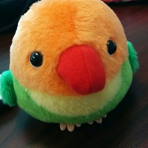 Meet your Posher, Sandy