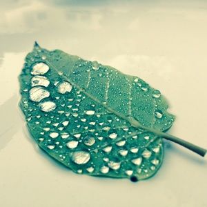 Meet your Posher, Aaron