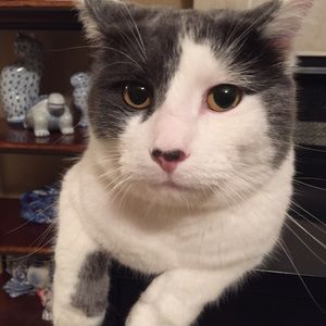 Meet your Posher, Sandy