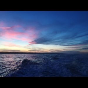 Meet your Posher, Tara