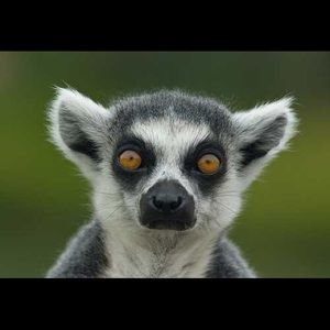 Meet your Posher, Stella