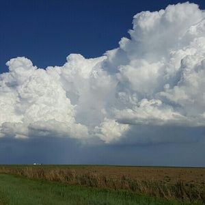 Meet your Posher, Perla