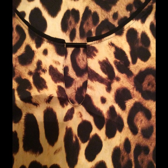 Zara - Picture 2 of 4