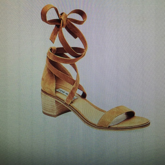 Steve Madden Rizzaa Shoe