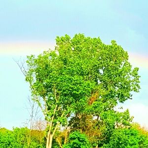 Meet your Posher, Sophia