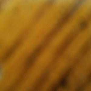 Meet your Posher, Katelyn