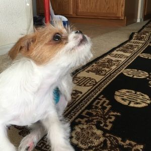 Meet your Posher, Thao