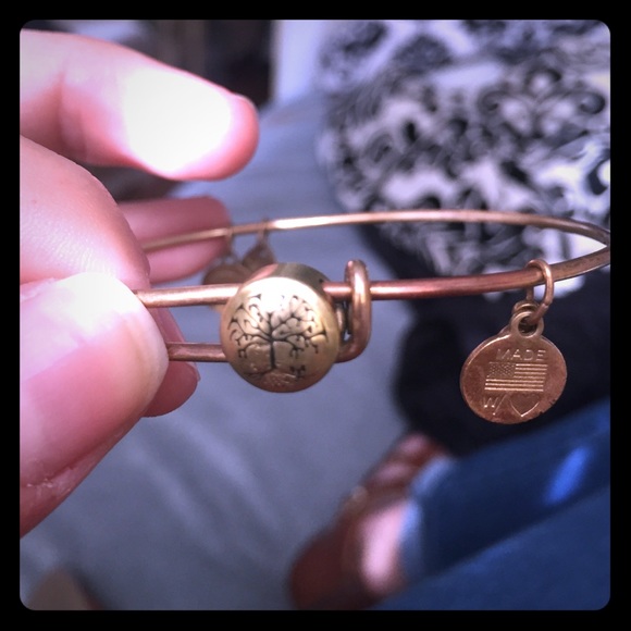 Alex and Ani bracelet- tree of life