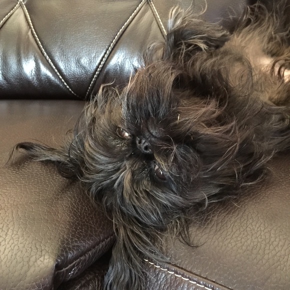 Meet your Posher, Kim - Picture 1 of 1