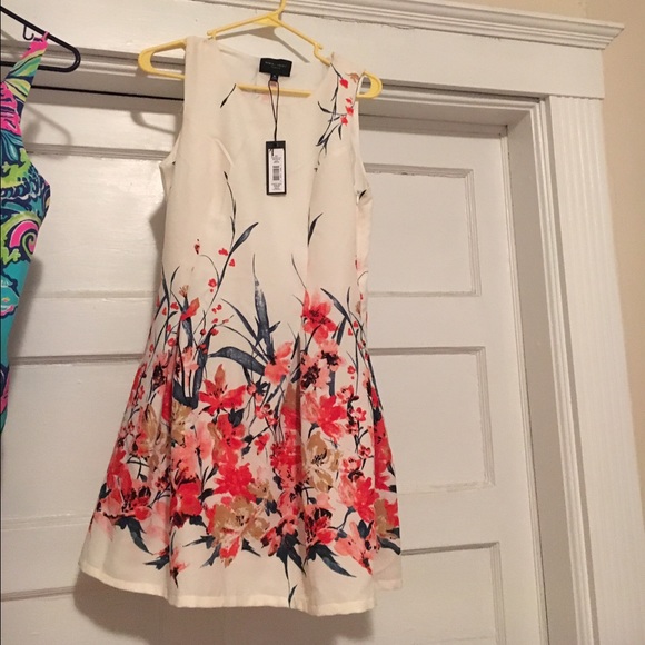 NWT Romeo and Juliet dress
