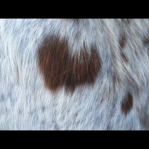 Meet your Posher, Patti