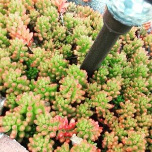 Meet your Posher, Noemi