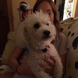 Meet your Posher, Suzanne