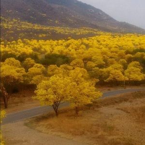 Meet your Posher, Lina