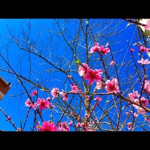 Meet your Posher, Lai nah