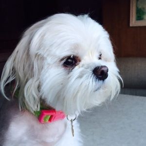 Meet your Posher, Cheryl