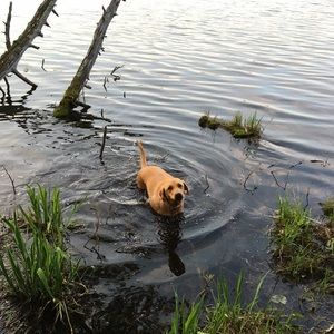 Meet your Posher, Katie