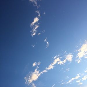 Meet your Posher, Ava grace