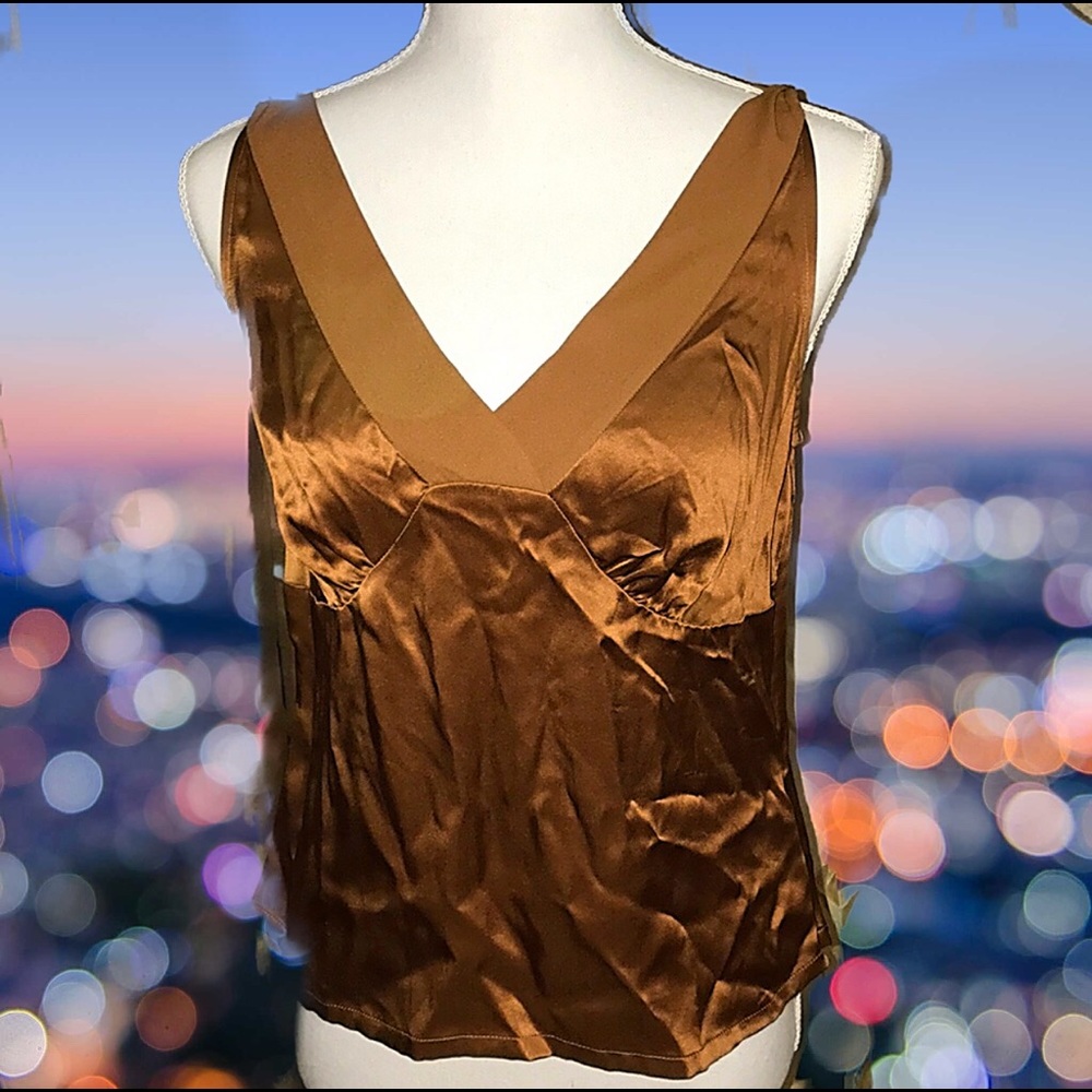 I.E. Studio Brown Silky Camisole Top
