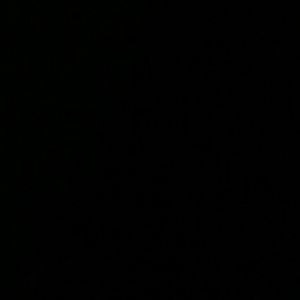 Meet your Posher, Serena