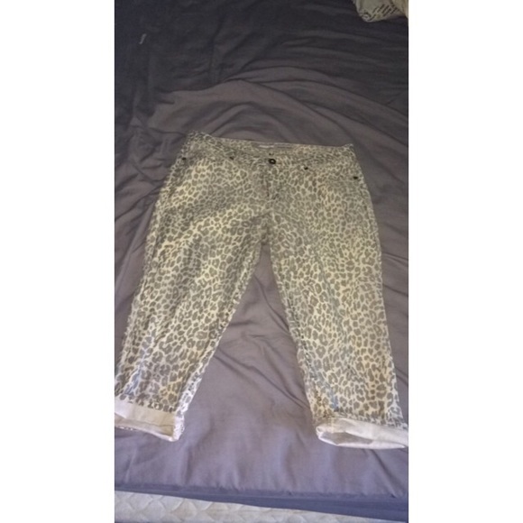 Jordache pants