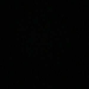 Meet your Posher, Devin