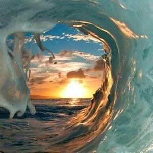 Meet your Posher, Jessie