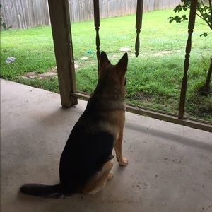 Meet your Posher, Susan