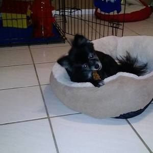 Meet your Posher, Theresa