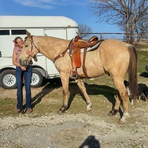 Meet your Posher, Laurie ward