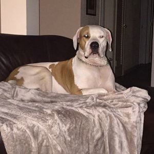 Meet your Posher, Lise