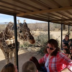 Meet your Posher, Susan