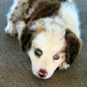 Meet your Posher, Makayla