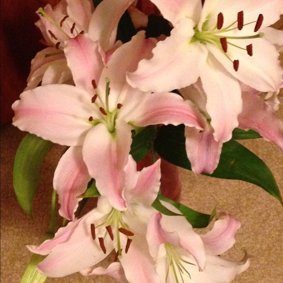 Meet your Posher, Alyson