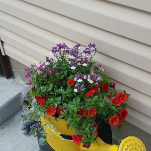 Meet your Posher, Jackie