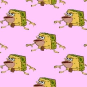 Meet your Posher, Madeline