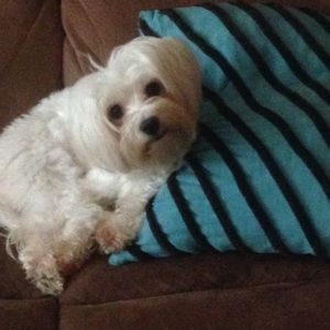 Meet your Posher, Virgen