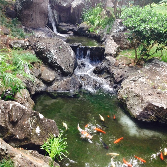 ⭐️About this closet⭐️ - Picture 2 of 4