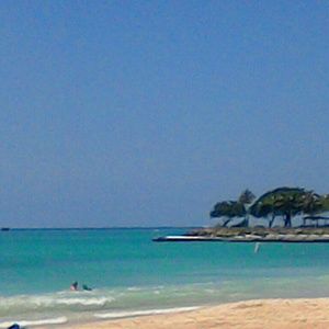 Meet your Posher, Natasha