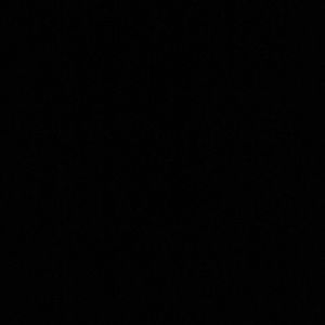 Meet your Posher, Neil